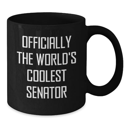 Funny Senator Gifts for Men from Friends, Christmas Unique Ideas for Senator Enthusiasts, World's Coolest Senator Coffee Mug - Additional