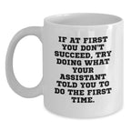 Funny Assistant Gifts, If At First You Don't Succeed, Try Doing What Your Assistant Told You To Do The First Time. White Coffee Mug, Gifts from Friend to Assistant, Christmas Unique Gifts