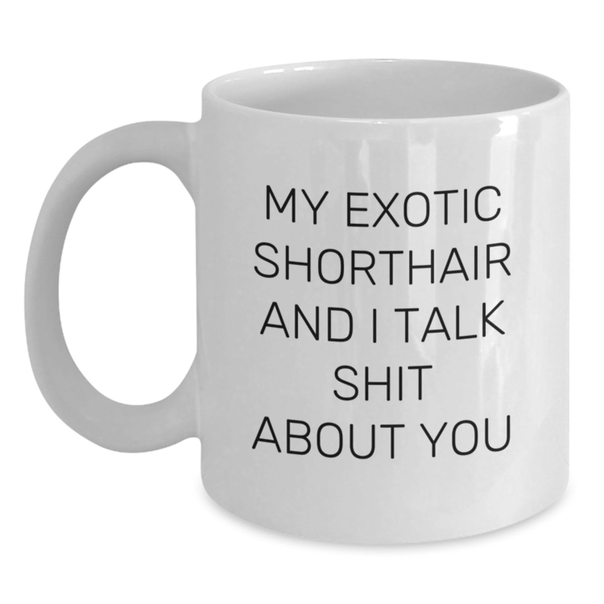 Sarcastic Exotic Shorthair Cat Gift for Friends - Novelty Ceramic Mug - Main