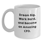 Funny Quote CFO Gifts from Friends for CFO, White Coffee Mug, Dream Big, Work Hard, And Become An Amazing Cfo., Christmas Unique Gifts, 11oz or 15oz Capacity.
