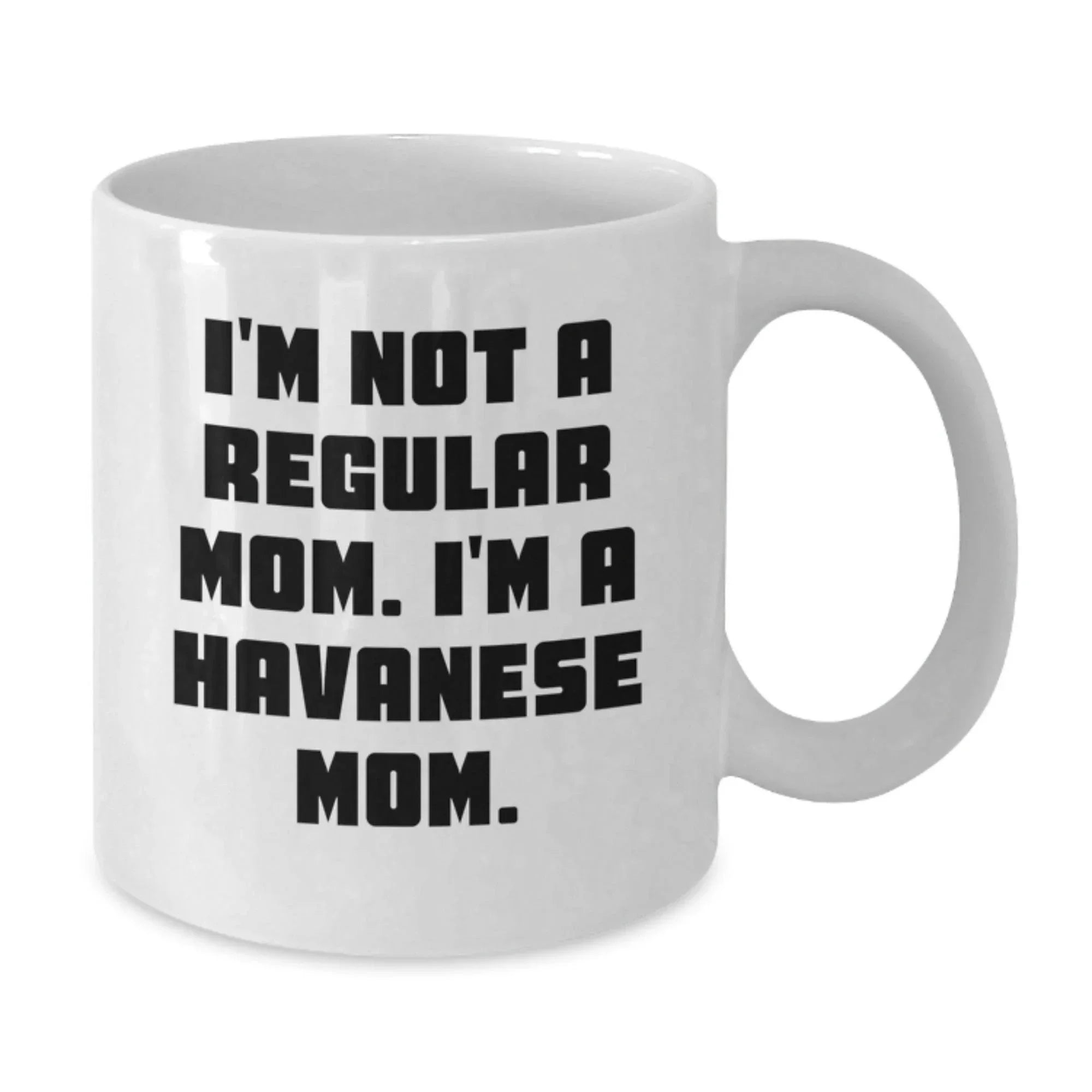 Funny Havanese Dog Mom Gifts from Friends, White Coffee Mug for Havanese Dog Lover, Christmas Unique Present
