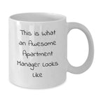 Funny Apartment Manager White Coffee Mug Gifts from Men to Their Awesome Apartment Manager for Valentine's