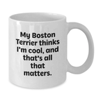 Funny Boston Terrier Dog Gifts from Friends, White Coffee Mug Gift for Boston Terrier Dog Lover, Birthday Unique Present - Additional