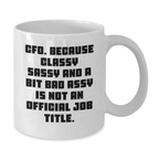 Funny CFO Gifts from Men - White Coffee Mug with CFO Quote - Unique Mother's Day Unique Gifts for Women - Additional