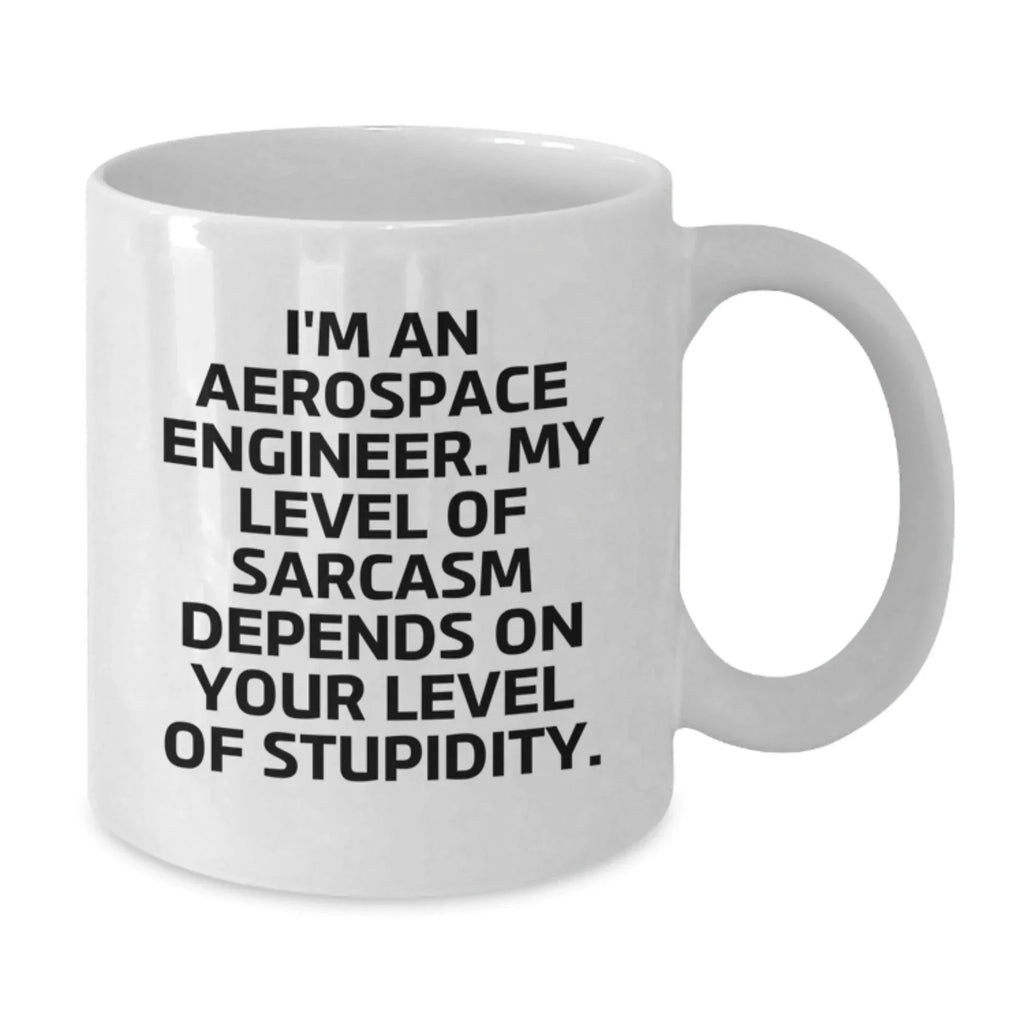 Funny Christmas Unique Gifts for Aerospace Engineer Friends - White Coffee Mug with Sarcasm Quote - Gifts from Friends