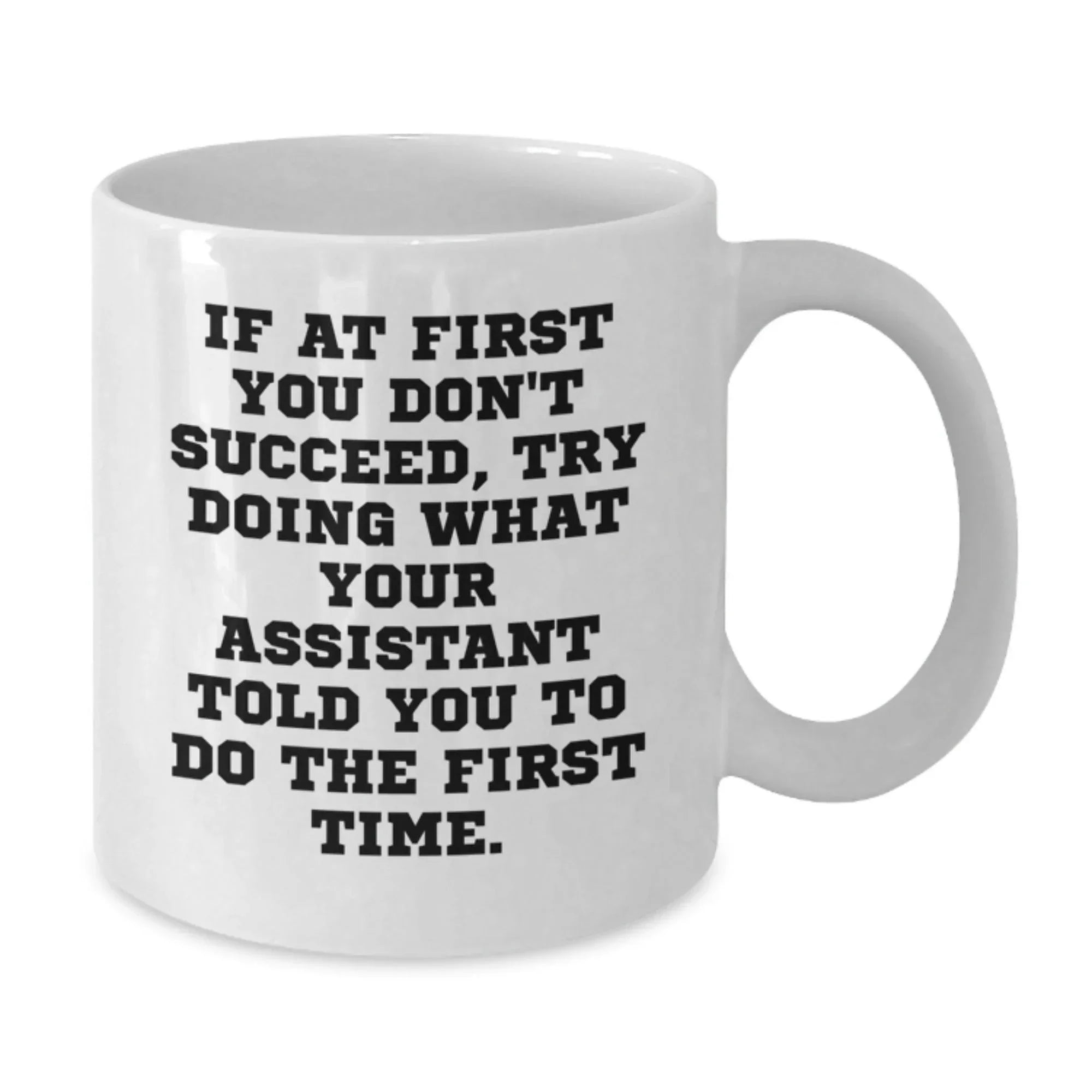 Funny Assistant Gifts, If At First You Don't Succeed, Try Doing What Your Assistant Told You To Do The First Time. White Coffee Mug, Gifts from Friend to Assistant, Christmas Unique Gifts