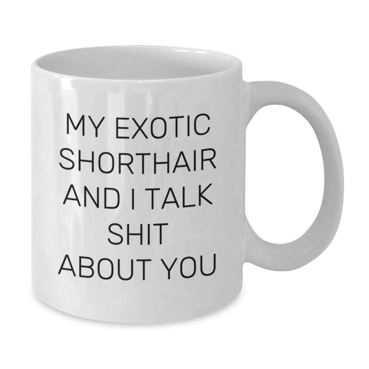 Sarcastic Exotic Shorthair Cat Gift for Friends - Novelty Ceramic Mug - Additional