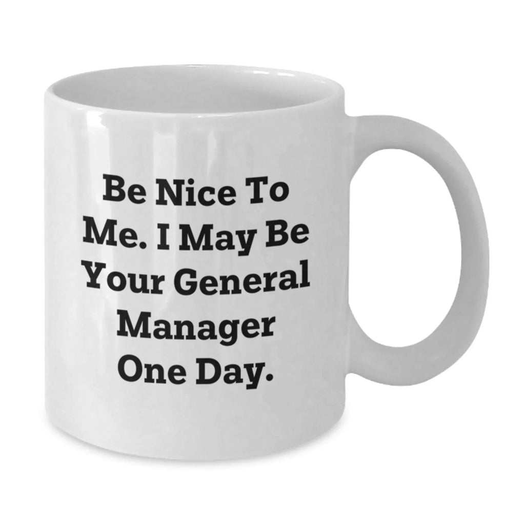 Funny General Manager Gifts from Men to General Manager Friends for Christmas Unique White Coffee Mugs, Be Nice To Me.