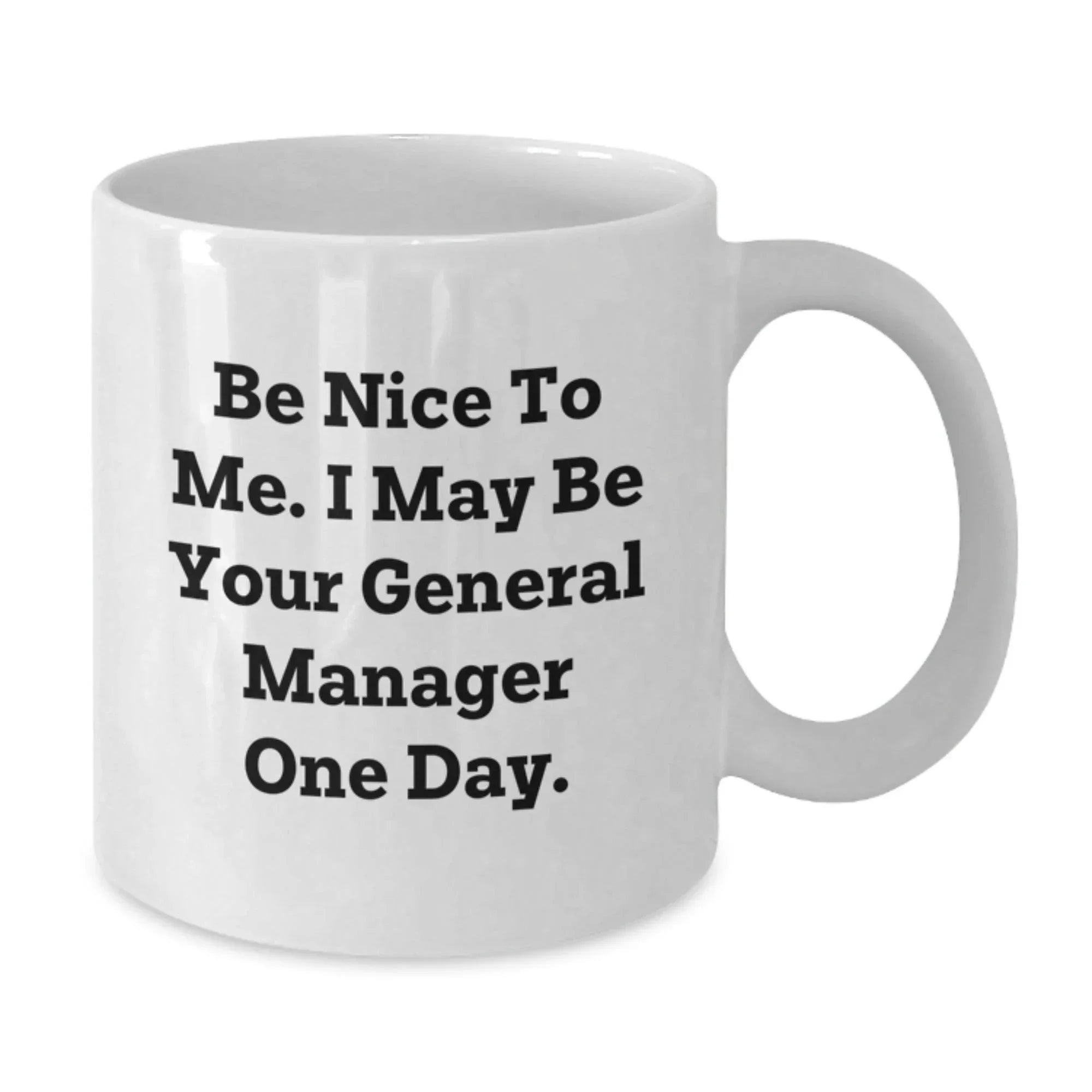 Funny General Manager Gifts from Men to General Manager Friends for Christmas Unique White Coffee Mugs, Be Nice To Me.