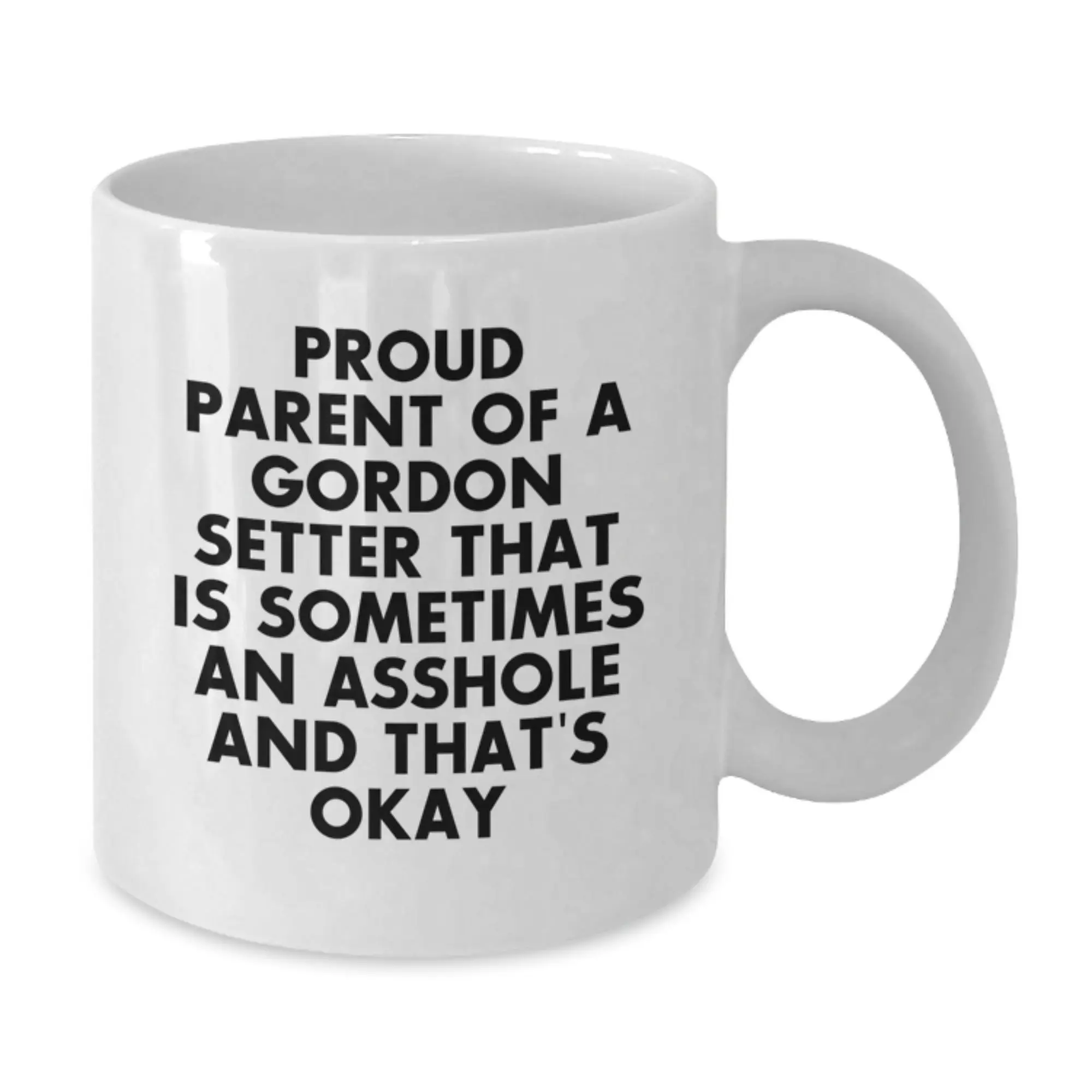 Funny Gordon Setter Dog Mom Dad Gifts from Family Friends for Men Women Graduation Unique Mug - Additional
