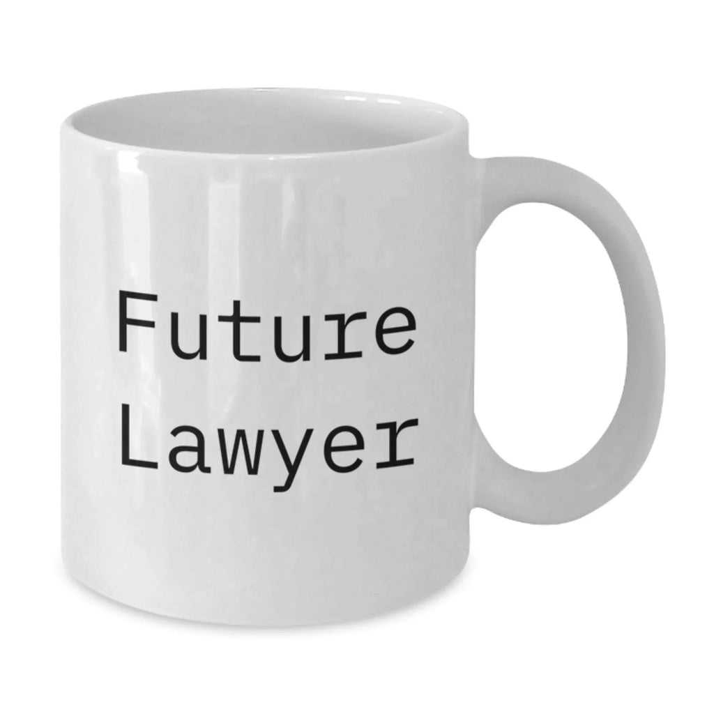 Funny Inspirational Lawyer Gifts from Men to Future Lawyer White Coffee Mug for Lawyer Office Christmas Unique Gifts
