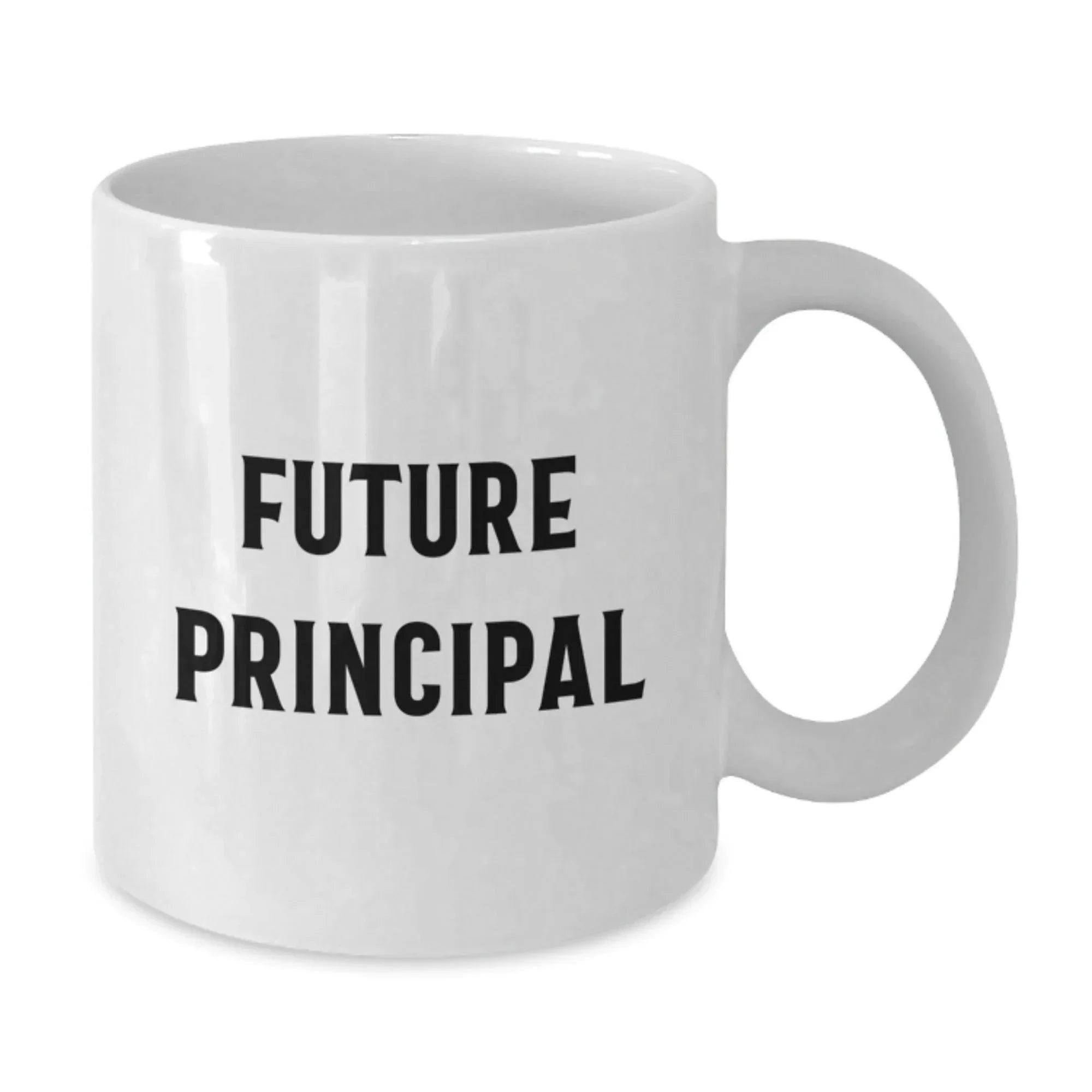 Funny Principal Gifts White Coffee Mug for Him Friends Coworkers Family with Inspirational Quote, Gifts from Men to Principal, Gifts for Principal Birthday Unique