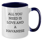 Funny Havanese Dog Gifts, All You Need Is Love And A Havanese, 11oz Two Tone Coffee Mug for Graduation - Gifts from Friends to Havanese Dog Lovers