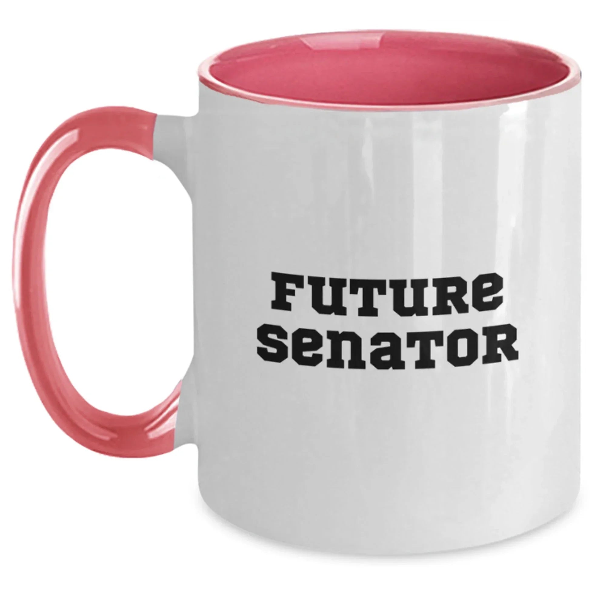 Funny Senator Quote Gifts from Friends for Christmas Unique Two Tone Coffee Mugs, Inspirational Mug