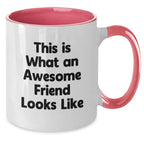 Funny Quote Friend Gifts from Women - This Is What An Awesome Friend Looks Like Valentine's Unique Gifts for Friend - Two Tone Coffee Mug