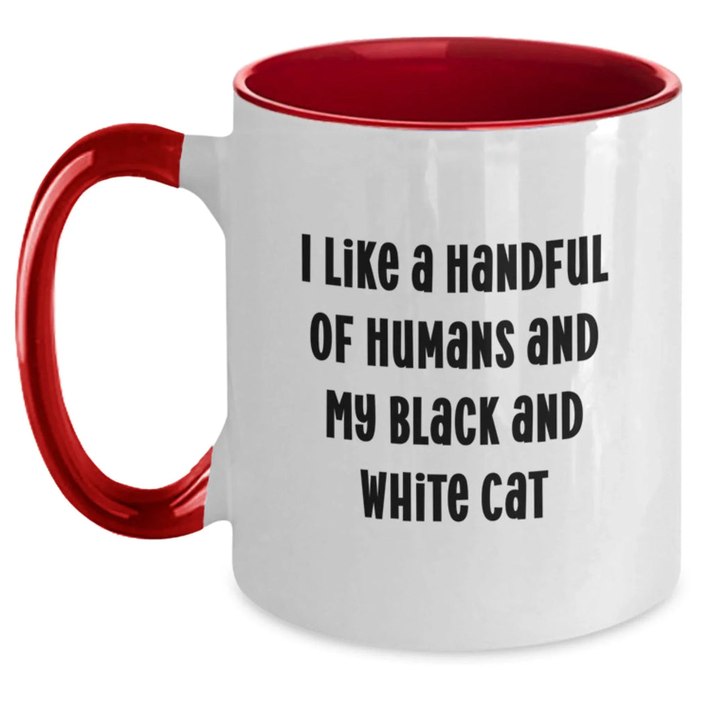 Funny Black and White Cat Gifts from Friends - 'I Like A Handful Of Humans And My Black And White Cat' Birthday Unique Gifts for Her