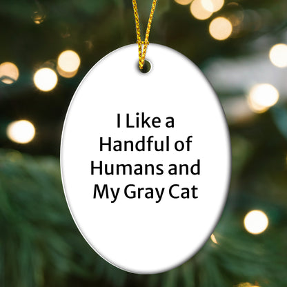 Funny Gray Cat Oval Ornament Gifts from Men to Women for Christmas Decorations - I Like A Handful Of Humans And My Gray Cat