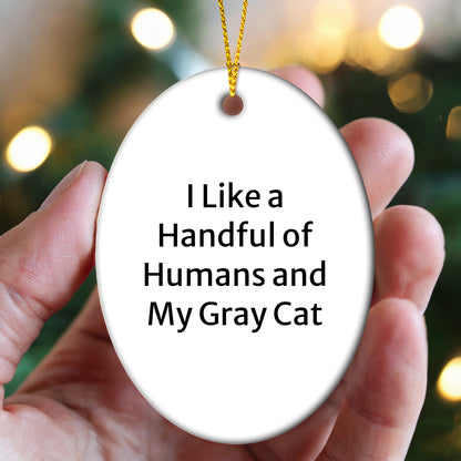 Funny Gray Cat Oval Ornament Gifts from Men to Women for Christmas Decorations - I Like A Handful Of Humans And My Gray Cat