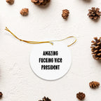 Funny Vice President Gifts for Men - Circle Ornament with Amazing F--king Vice President Quote, Christmas Unique Gifts from Friends or Family