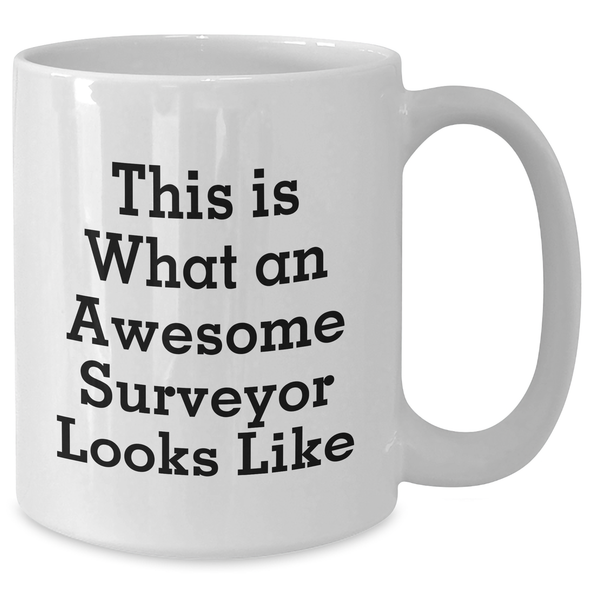 Funny Surveyor Gifts, White Coffee Mug for Surveyor Enthusiasts, Mother's Day Unique Gifts from Family, Surveys for Surveyor's Mom - Additional