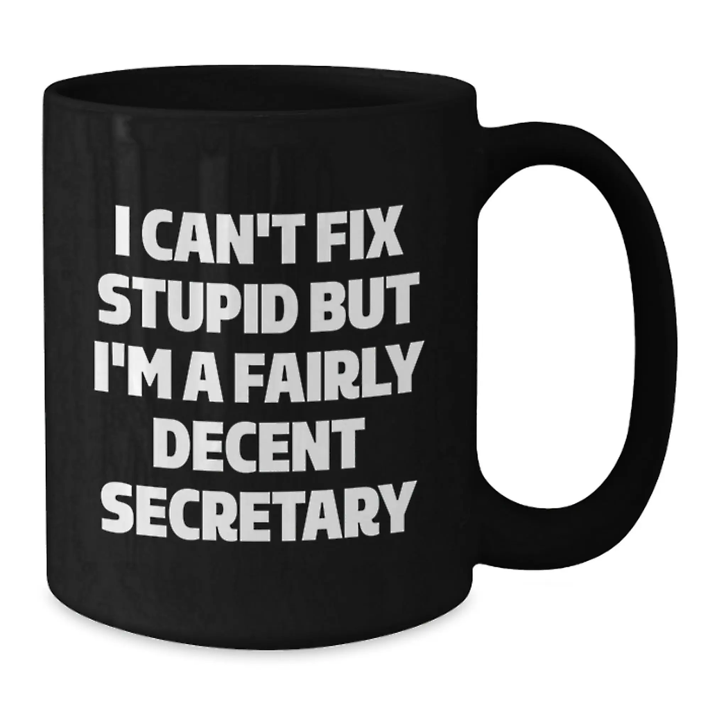 Funny Secretary Gifts from Friends, Birthday Unique Gifts for Secretary, Secretary Black Coffee Mug - I Can't Fix Stupid But I'm A Fairly Decent Secretary - Additional