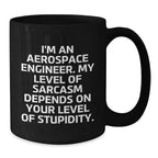Funny Gifts for Aerospace Engineers, Unique Black Coffee Mugs, Sarcastic Christmas Memorable Presents from Friends and Family