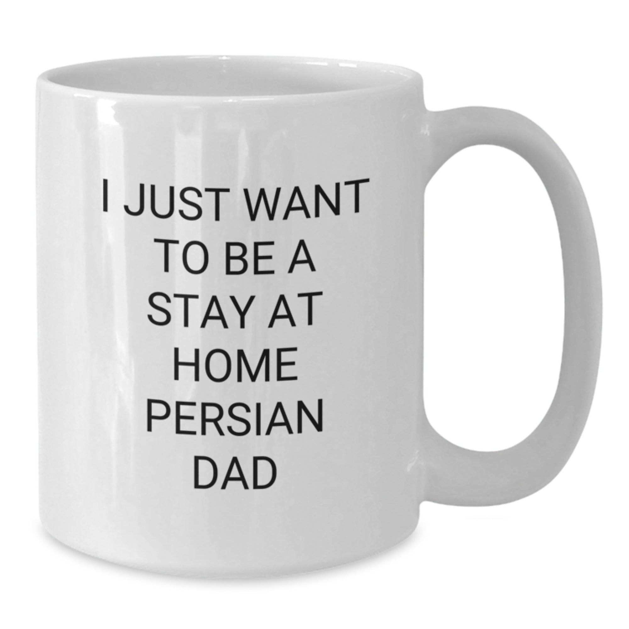 Funny Persian Cat White Coffee Mugs, Unique Gifts from Friends for Men, 'I Just Want To Be A Stay At Home Persian Dad' Christmas Unique Gifts - Additional