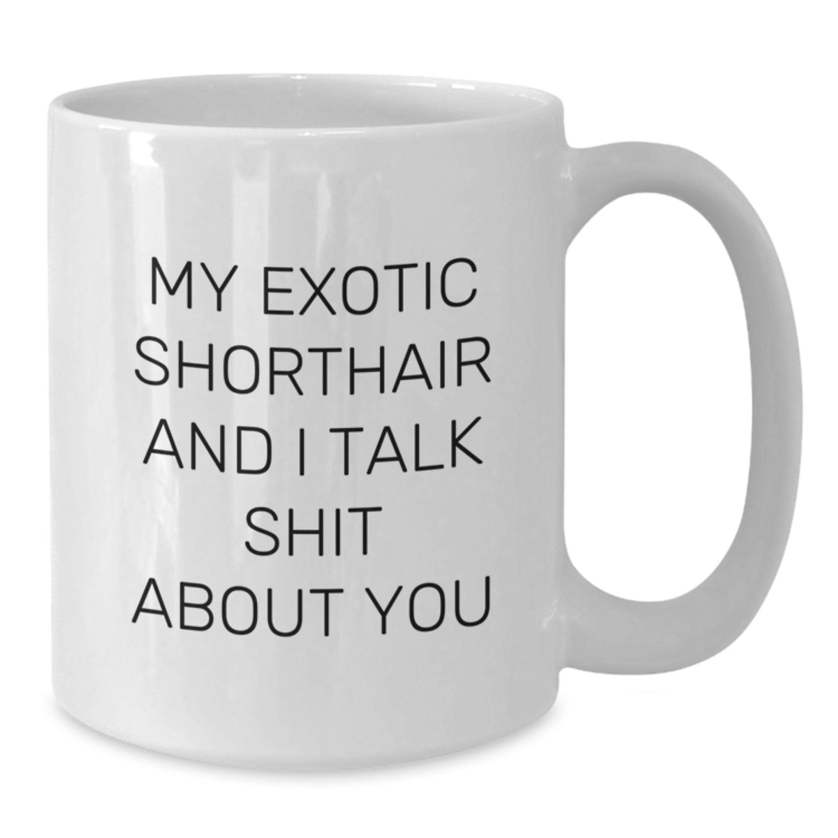 Sarcastic Exotic Shorthair Cat Gift for Friends - Novelty Ceramic Mug - Additional