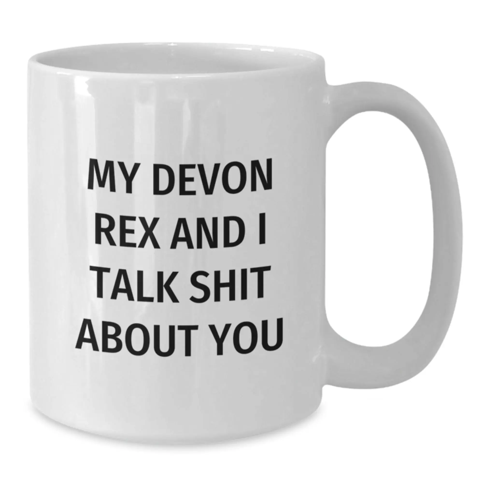 Funny Devon Rex Cat Gifts for Friends, Unique White Coffee Mug from Family, My Devon Rex And I Talk Shit About You Quote - Additional