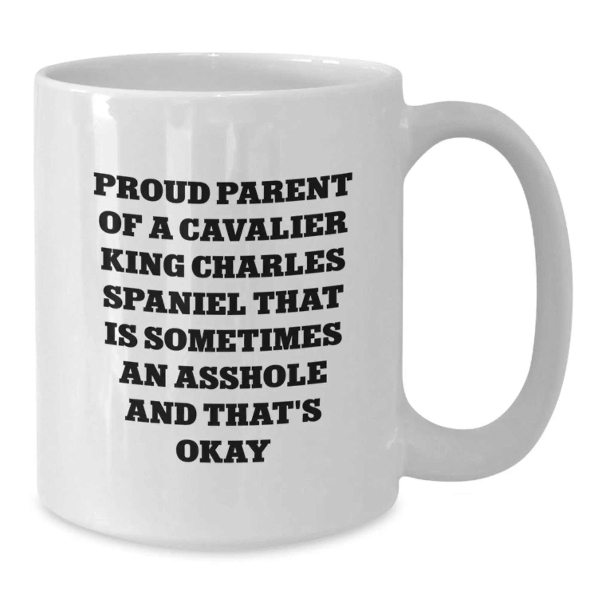 Cavalier King Charles Spaniel Dog Lover Gifts from Family - Proud Parent Quote White Coffee Mug, Graduation Unique Gifts for Men, Women, Friends, and Family - Additional