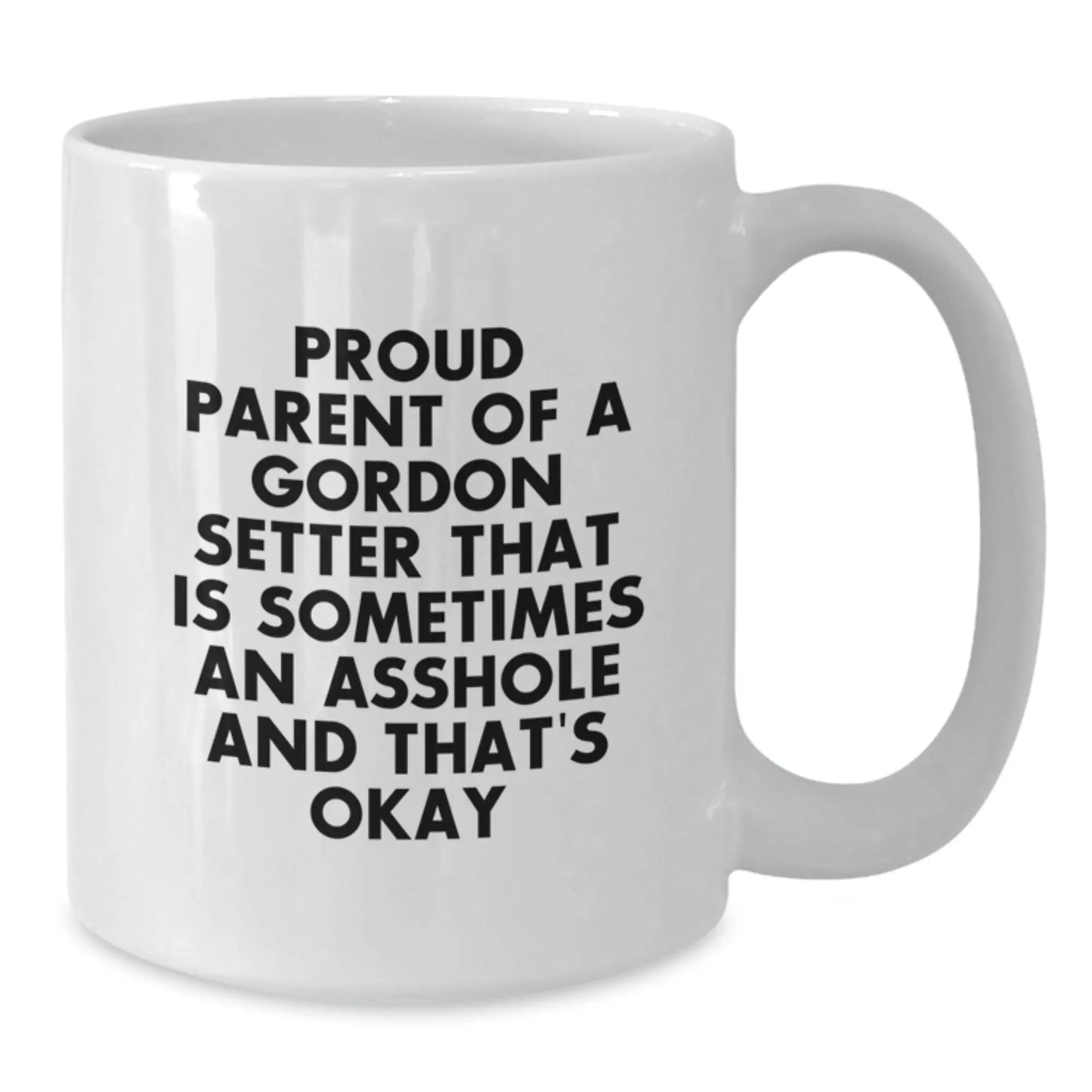 Funny Gordon Setter Dog Mom Dad Gifts from Family Friends for Men Women Graduation Unique Mug - Additional