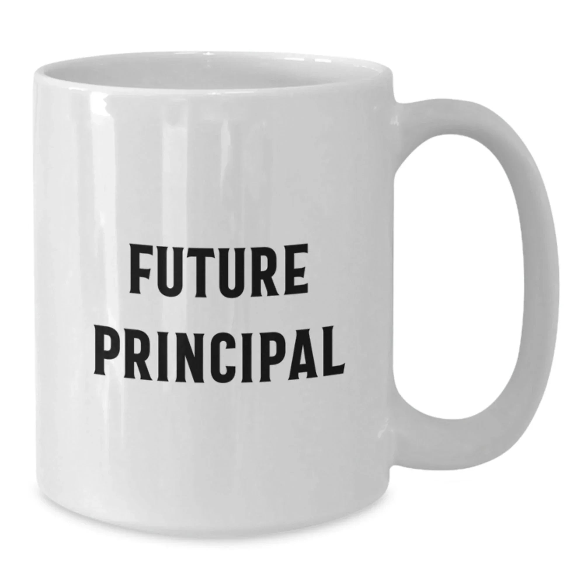 Funny Principal Gifts White Coffee Mug for Him Friends Coworkers Family with Inspirational Quote, Gifts from Men to Principal, Gifts for Principal Birthday Unique