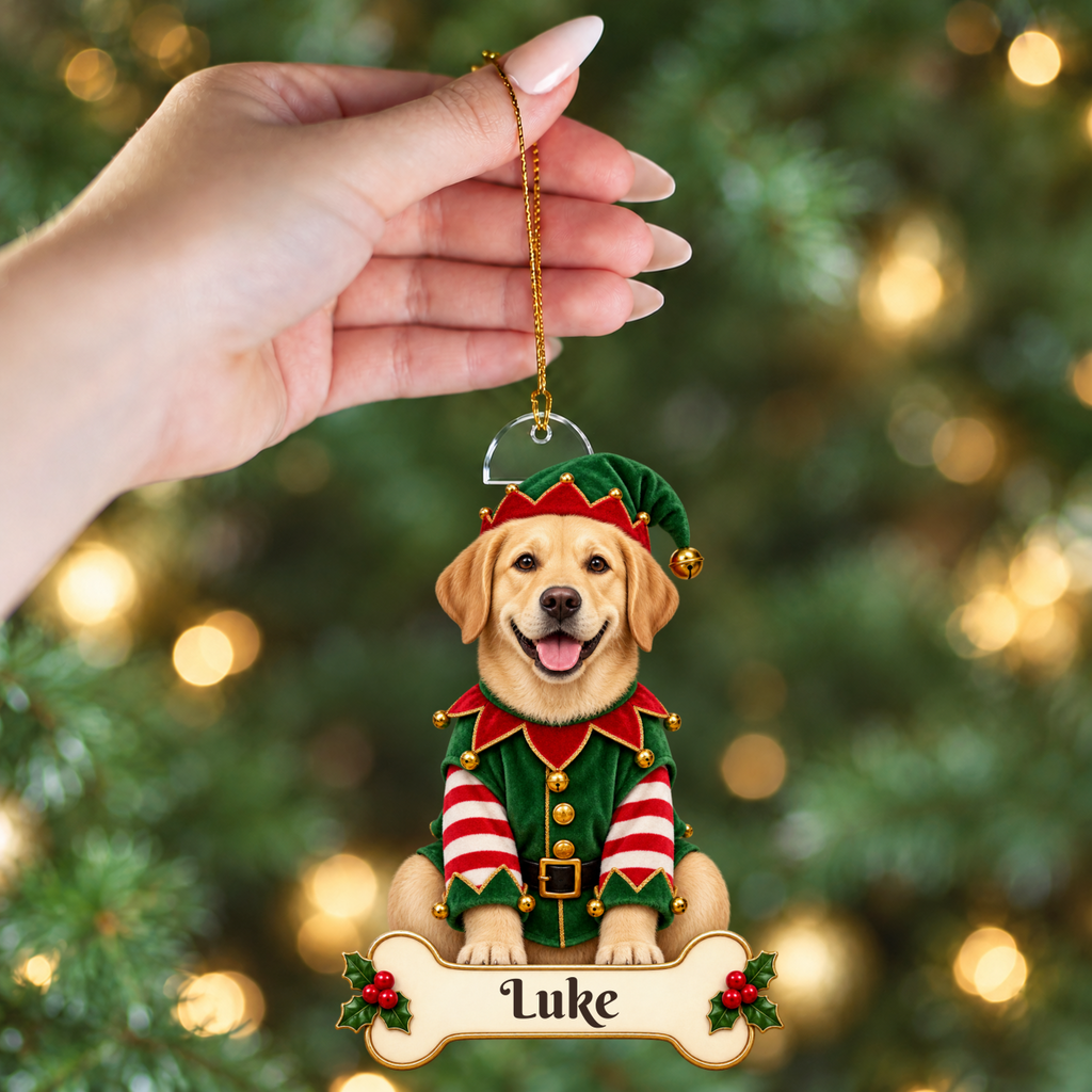 Personalized Christmas Elf Christmas Ornament, Custom Acrylic Ornament, Holiday Gift, Custom Name Keepsake