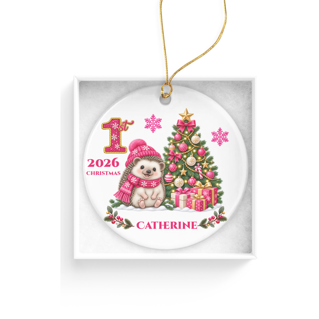 Hedgehog Baby Personalized Christmas Ornament Pink, Baby's 1st 2nd 3rd Christmas, Custom Name Year Ceramic Keepsake, Girl Gift