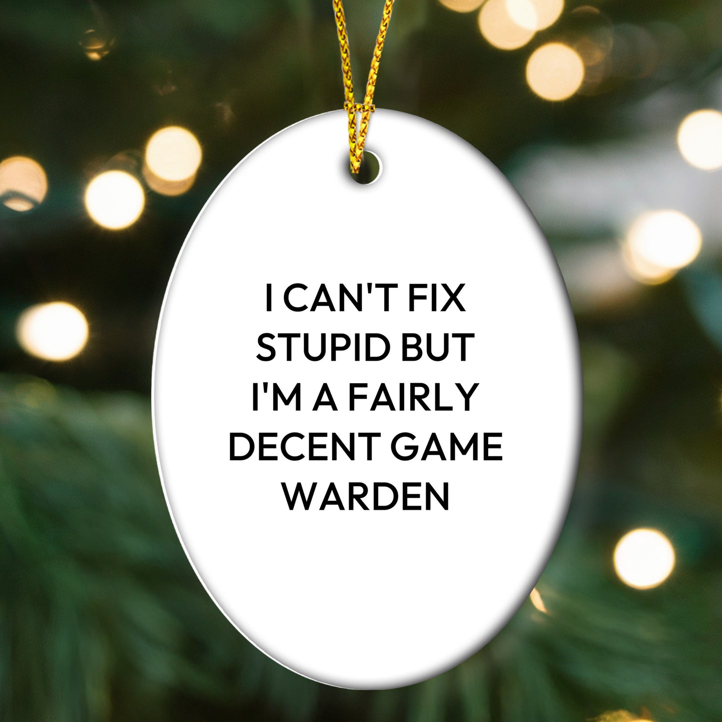 Funny Game Warden Oval Ornament Gifts from Friends and Family for Christmas Unique Decorations I 'Can't Fix Stupid But I'm A Fairly Decent Game Warden' Men Women