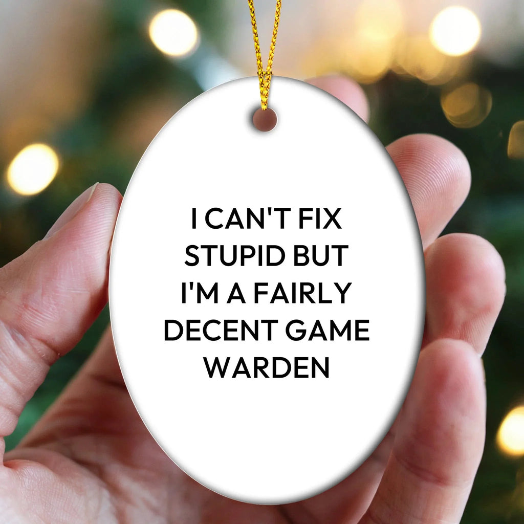 Funny Game Warden Oval Ornament Gifts from Friends and Family for Christmas Unique Decorations I 'Can't Fix Stupid But I'm A Fairly Decent Game Warden' Men Women