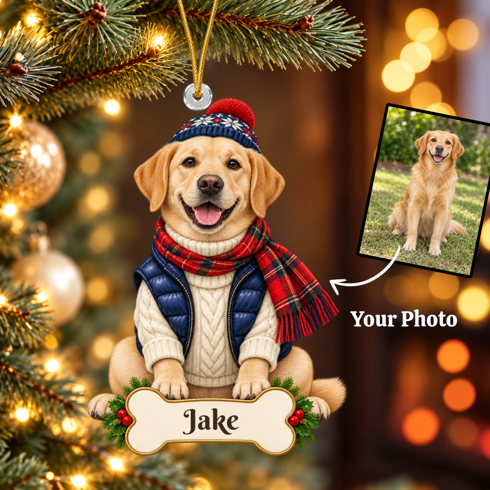 Personalized Alpine Skier Dog Christmas Ornament from Photo, Custom Pet Portrait Acrylic Cutout, Winter Sweater Dog Ornament, Dog Lover Gift