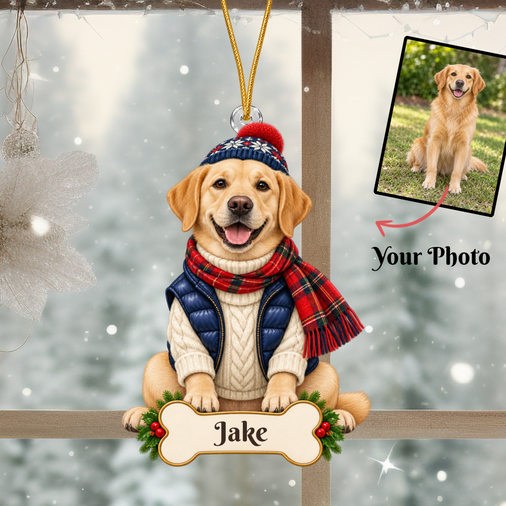 Personalized Alpine Skier Dog Christmas Ornament from Photo, Custom Pet Portrait Acrylic Cutout, Winter Sweater Dog Ornament, Dog Lover Gift