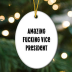 Funny Vice President Oval Ornament Gifts from Friends for Vice President Men, Vice President Oval Ornament Christmas Unique Gifts