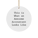 Accountant Gifts, Funny Quote Ornaments, Circle Shaped MDF White, Gifts from Friends to Accountant for Christmas, Inspirational Quote: This Is What An Awesome Accountant Looks Like
