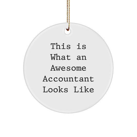 Accountant Gifts, Funny Quote Ornaments, Circle Shaped MDF White, Gifts from Friends to Accountant for Christmas, Inspirational Quote: This Is What An Awesome Accountant Looks Like