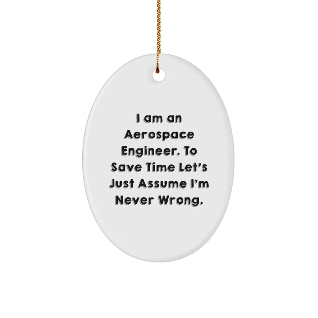 Aerospace Engineer Gifts from Friends, Unique Oval Ornament with 'Funny' Quote for Christmas