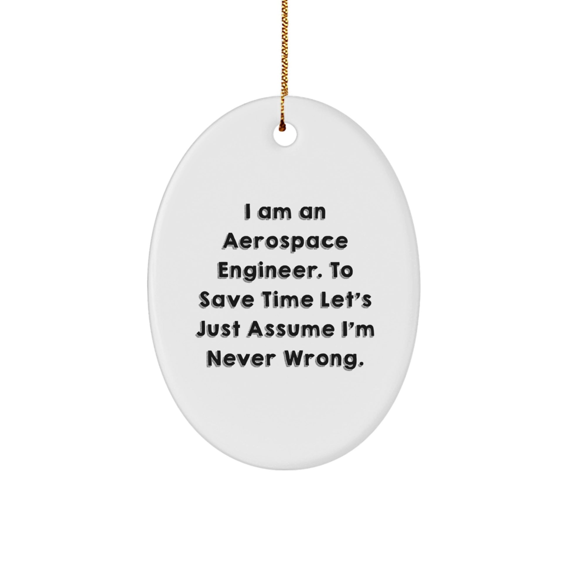 Aerospace Engineer Gifts from Friends, Unique Oval Ornament with 'Funny' Quote for Christmas