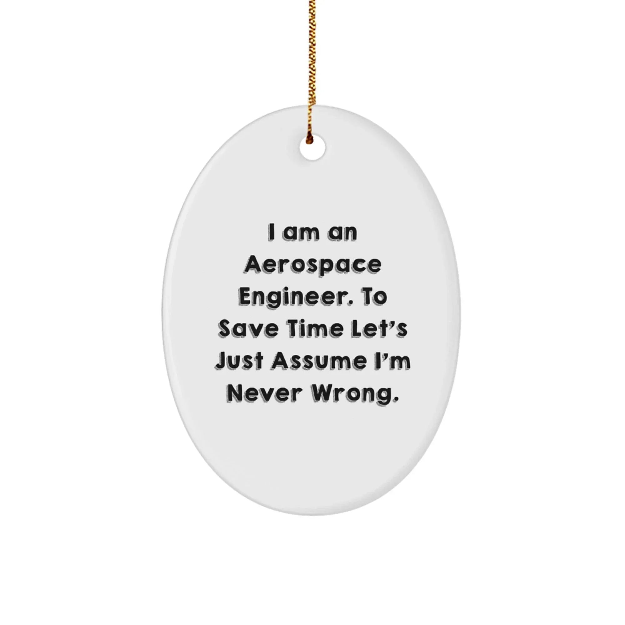 Aerospace Engineer Gifts from Friends, Unique Oval Ornament with 'Funny' Quote for Christmas