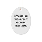 Aircraft Mechanic Gifts from Friends for Christmas Oval Ornament Quote Because I Am - Unique Presents for Men