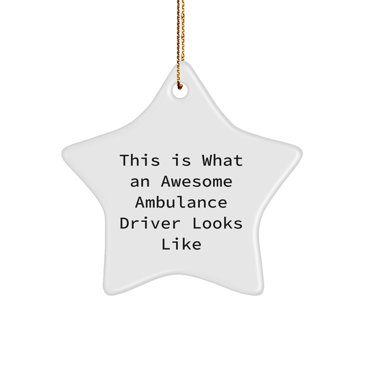 Ambulance Driver Gifts, This Is What Awesome Looks Like Star Ornament, Funny Quote Gifts from Men, for Ambulance Driver, Unique Christmas Unique Gifts