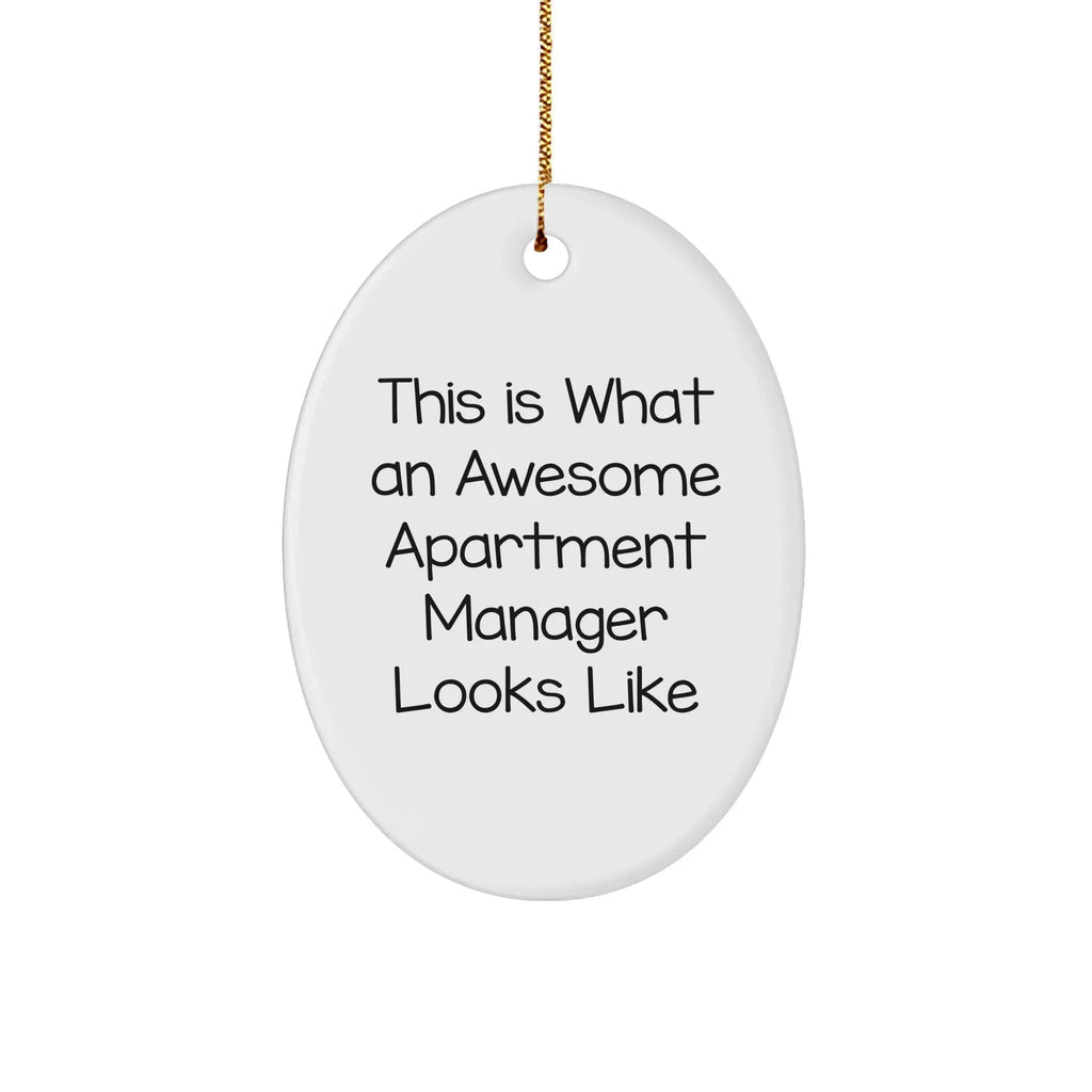 Apartment Manager Gifts from Friends Funny Oval Ornament for Christmas This Is What Awesome Apartment Manager Looks Like