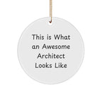 Architect Gifts - Funny Circle Ornament 'This Is What An Awesome Architect Looks Like' - Christmas Unique Gifts from Friends to Family