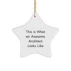 Architect Gifts, This Is What An Awesome Architect Looks Like, Star Ornament, Christmas Unique Gifts from Family to Friends