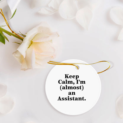 Assistant Christmas Unique Gifts from Friends, Keep Calm, I'm (almost) An Assistant. Cute Circle Ornament for Men, Women, Family